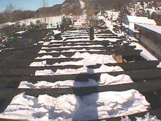 roofnorth.jpg (13949 bytes)