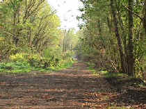 bridge2noweeds.jpg (100856 bytes)